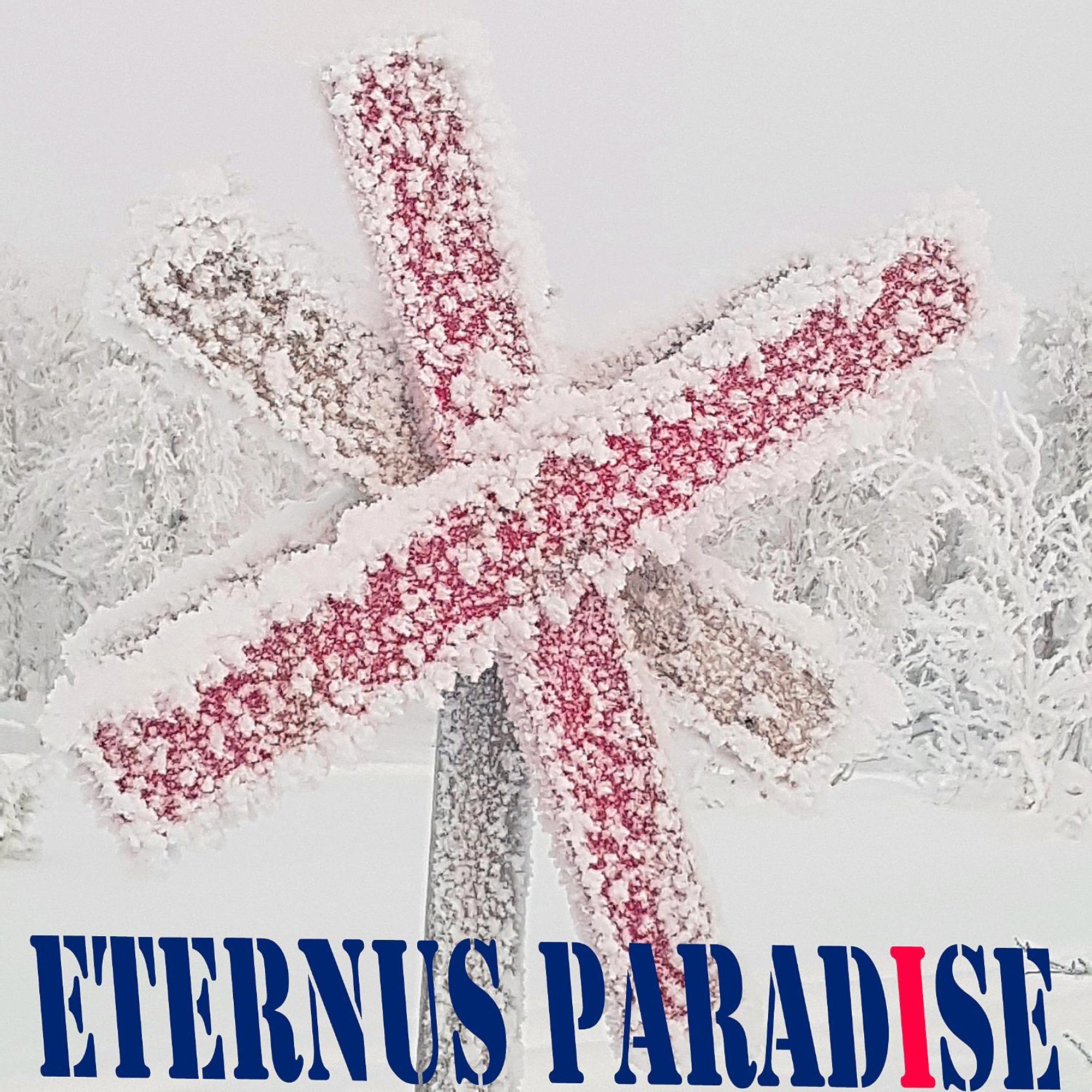 Eternus Paradise Tärnaby Eksteriør billede