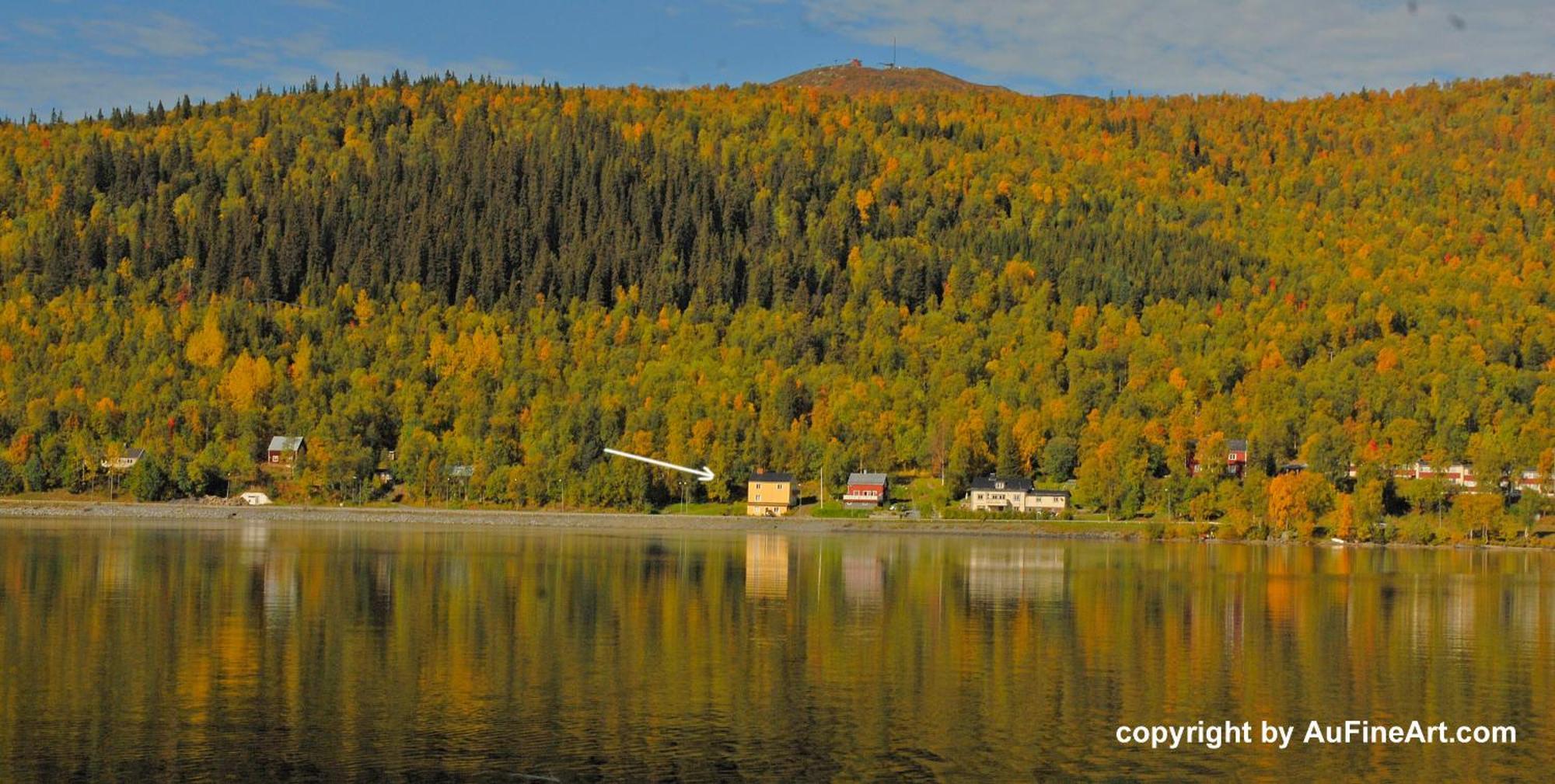 Eternus Paradise Tärnaby Eksteriør billede